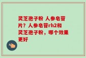 灵芝孢子粉 人参皂苷片？人参皂苷rh2和灵芝孢子粉，哪个效果更好