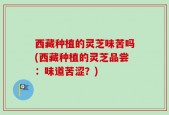 西藏种植的灵芝味苦吗(西藏种植的灵芝品尝：味道苦涩？)