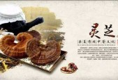 市面上常见灵芝孢子粉的价位 2019最新版