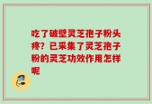 吃了破壁灵芝孢子粉头疼？已采集了灵芝孢子粉的灵芝功效作用怎样呢