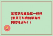 紫灵芝和鹿仙草一样吗(紫灵芝与鹿仙草有相同的特点吗？)