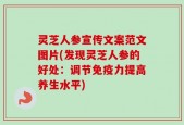 灵芝人参宣传文案范文图片(发现灵芝人参的好处：调节免疫力提高养生水平)
