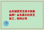 山东破壁灵芝孢子胶囊品牌？山东最大的灵芝加工，收购公司