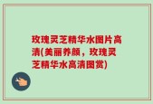 玫瑰灵芝精华水图片高清(美丽养颜，玫瑰灵芝精华水高清图赏)