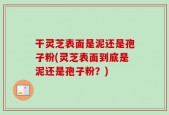 干灵芝表面是泥还是孢子粉(灵芝表面到底是泥还是孢子粉？)