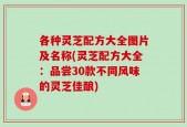 各种灵芝配方大全图片及名称(灵芝配方大全：品尝30款不同风味的灵芝佳酿)