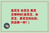 紫灵芝 赤灵芝 黑灵芝哪种好(紫灵芝、赤灵芝、黑灵芝的比较，你选哪一种？)