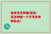 陆良灵芝种植(陆良：灵芝种植一个不可多得的机会)