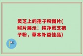 灵芝上的孢子粉图片(照片展示：纯净灵芝孢子粉，草本补益佳品)
