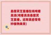 悬崖灵芝直播在线观看高清(观看高清悬崖灵芝直播，近距离感受奇妙植物美景)