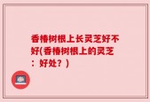 香椿树根上长灵芝好不好(香椿树根上的灵芝：好处？)