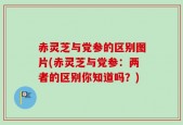 赤灵芝与党参的区别图片(赤灵芝与党参：两者的区别你知道吗？)