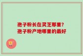 孢子粉长在灵芝那里？孢子粉产地哪里的最好
