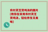 农村灵芝煲鸡汤的图片(教你在家用农村灵芝煲鸡汤，轻松养生又美味)