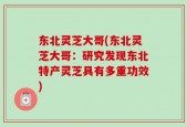 东北灵芝大哥(东北灵芝大哥：研究发现东北特产灵芝具有多重功效)