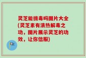 灵芝能拔毒吗图片大全(灵芝素有清热解毒之功，图片展示灵芝的功效，让你信服)