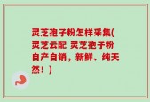 灵芝孢子粉怎样采集(灵芝云配 灵芝孢子粉自产自销，新鲜、纯天然！)