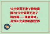 位元堂灵芝孢子粉胶囊图片(位元堂灵芝孢子粉胶囊——强身健体，高效补充身体所需营养)