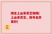 博主上山采灵芝视频(上山采灵芝，探寻自然奥妙)