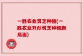 一胜农业灵芝种植(一胜农业开创灵芝种植新局面)