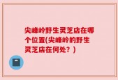 尖峰岭野生灵芝店在哪个位置(尖峰岭的野生灵芝店在何处？)