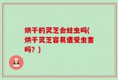 烘干的灵芝会蛀虫吗(烘干灵芝容易遭受虫害吗？)