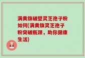 满黄旗破壁灵芝孢子粉如何(满黄旗灵芝孢子粉突破瓶颈，助你健康生活)