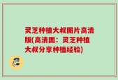 灵芝种植大叔图片高清版(高清图：灵芝种植大叔分享种植经验)