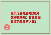 黑灵芝养殖基地(黑灵芝种植基地：打造名副其实的黑灵芝之都)