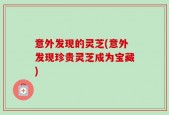 意外发现的灵芝(意外发现珍贵灵芝成为宝藏)