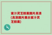 蜜汁灵芝胶囊图片高清(高清图片展示蜜汁灵芝胶囊)