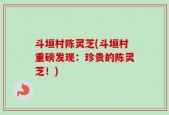 斗垣村陈灵芝(斗垣村重磅发现：珍贵的陈灵芝！)