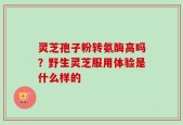 灵芝孢子粉转氨酶高吗？野生灵芝服用体验是什么样的