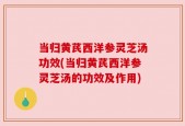 当归黄芪西洋参灵芝汤功效(当归黄芪西洋参灵芝汤的功效及作用)
