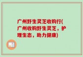 广州野生灵芝收购行(广州收购野生灵芝，护理生态，助力健康)