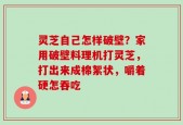 灵芝自己怎样破壁？家用破壁料理机打灵芝，打出来成棉絮状，嚼着硬怎吞吃