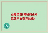 山鬼灵芝(神秘的山中灵芝产生奇异效应)