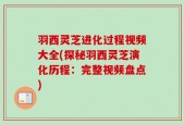羽西灵芝进化过程视频大全(探秘羽西灵芝演化历程：完整视频盘点)