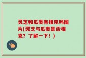 灵芝和瓜类有相克吗图片(灵芝与瓜类是否相克？了解一下！)