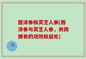 西洋参和灵芝人参(西洋参与灵芝人参，共同拥有的功效和益处)