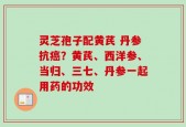 灵芝孢子配黄芪 丹参抗癌？黄芪、西洋参、当归、三七、丹参一起用药的功效