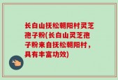 长白山抚松朝阳村灵芝孢子粉(长白山灵芝孢子粉来自抚松朝阳村，具有丰富功效)