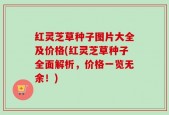 红灵芝草种子图片大全及价格(红灵芝草种子全面解析，价格一览无余！)