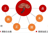 灵芝孢子粉到哪里买好呢？这么多年居然关注错重点了！