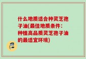 什么地质适合种灵芝孢子油(最佳地质条件：种植高品质灵芝孢子油的最适宜环境)