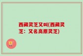西藏灵芝又叫(西藏灵芝：又名高原灵芝)