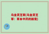 乌金灵芝草(乌金灵芝草：草本中药的新宠)