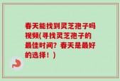 春天能找到灵芝孢子吗视频(寻找灵芝孢子的最佳时间？春天是最好的选择！)