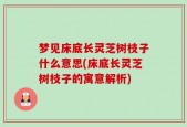 梦见床底长灵芝树枝子什么意思(床底长灵芝树枝子的寓意解析)