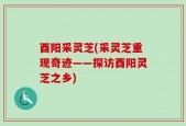 酉阳采灵芝(采灵芝重现奇迹——探访酉阳灵芝之乡)